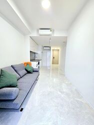 Amber Park (D15), Condominium #495895631